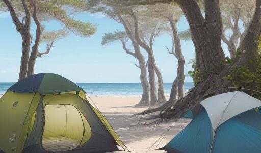 【海洋生物】毒を持つ生き物の特徴 | 夏の海辺での注意点と対策
