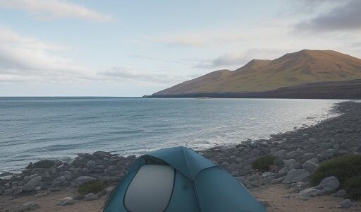 【海洋天気予報】波高の読み方 | 港から船を出す前にチェックする点