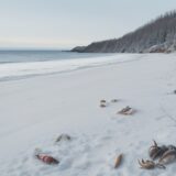 【貝類】冬の海岸を歩いて拾い集める | 獲れたての味をそのまま食卓に運ぶ をイメージした 広角の風景、冬 の写真