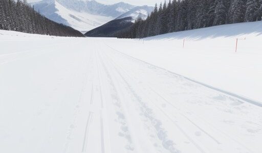 【スキー】雪原に伸びる滑走路のような直線を滑る | 風を切る速度感