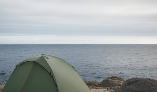 【海水温度】地域ごとの気候と海況の変化 | 冬の海で狙う魚の種類