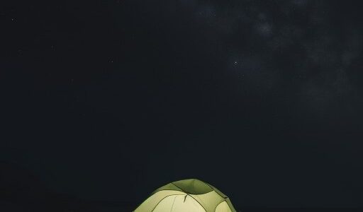 【夜光クラゲ】深海の底で光を放つ様子 | 夜の海での観察記録