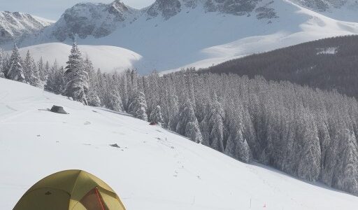 【スキー】冬の雪山へと足を運ぶ | 雪質に合わせたコースの選び方