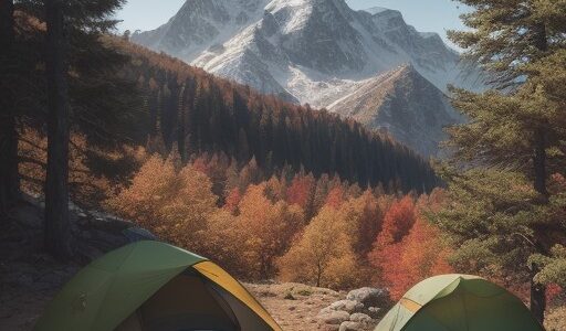 【ハイキング】秋の山道を歩いて | 山頂から広がる景色を眺める