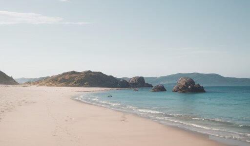 【海釣り】初心者が身につける技術の基礎 | 夏の砂浜での仕掛けとコツ