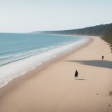 【サーフィン】ボードを持って砂浜を歩く | 波が来る海岸で過ごす一日の流れ をイメージした 広角の風景 の写真