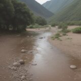 【川の水位】気象庁のサイトで状況を確認 | 雨上がりの河原と降水確率 をイメージした 広角の風景、川、川 の写真