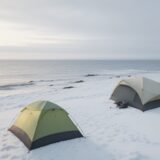 【海洋天候】波の高さと天気予報 | 冬の海へ釣りに出かける前の準備 をイメージした 広角の風景、冬 の写真