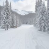 【スキーソリューション】山の中を滑るコース | 雪の状態とルート選び をイメージした 広角の風景、雪景色 の写真
