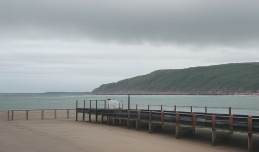 【海上気象情報】波止場での出港前チェック | 風向から判断するタイミング