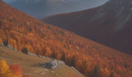 【登山】秋の山道を通り頂上を目指す | 紅葉が見頃のルートを歩く