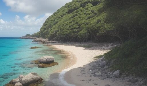 【水中生物】沖縄の海に住む魚たち | 生態系と生物多様性のつながり