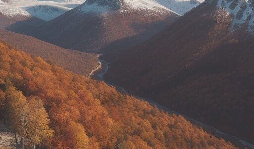 【登山】秋の山道を歩いて巡るルート | 山頂から眺める紅葉の景色を記録する