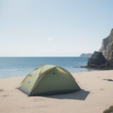 【海洋生物】触れずに観察するルール | 夏の海で生態系を保護する方法 をイメージした 広角の風景、夏 の写真