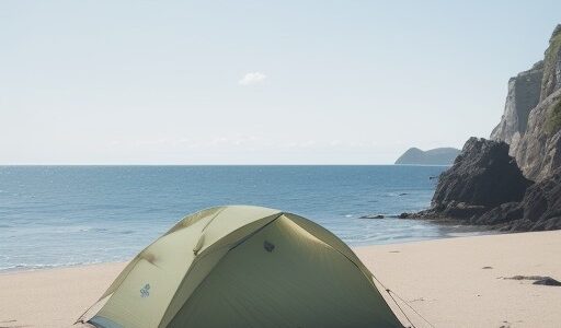 【海洋生物】触れずに観察するルール | 夏の海で生態系を保護する方法