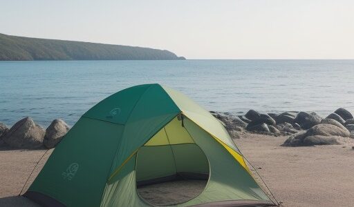【海水温】現在の海の状態と水温の推移を確認 | 出現する魚の種類をチェック