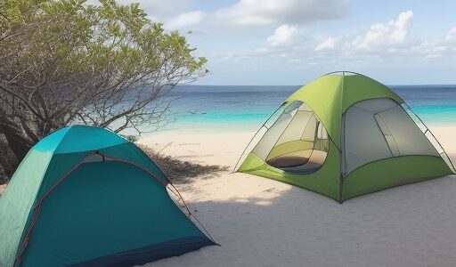 【海水魚】沖縄の海で見つける魚 | 海洋生物が作る生態系を観察する