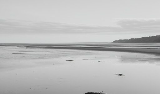 【干潟】潮位表でタイミングを確認する | 秋の生き物探しと砂浜歩き