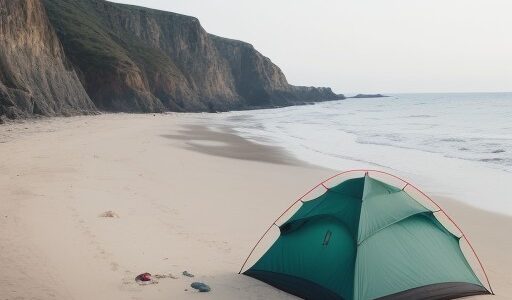 【海洋生物の保護】海岸で取り組むゴミ拾い | 生き物を守るための注意点