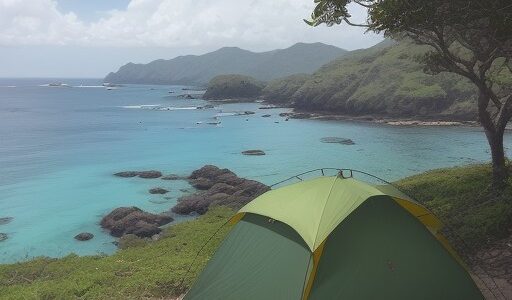【海洋生物】沖縄の海で出会う魚たち | 生態系を守るための取り組み